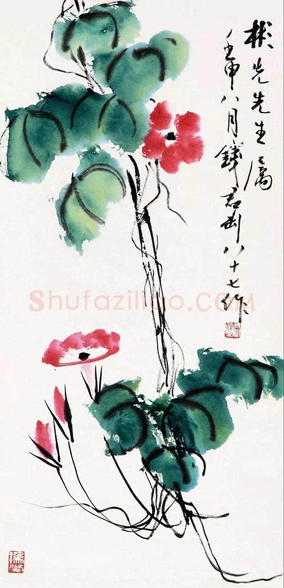 钱君匋笔下的牵牛花,清新奔放 | 书画文摘