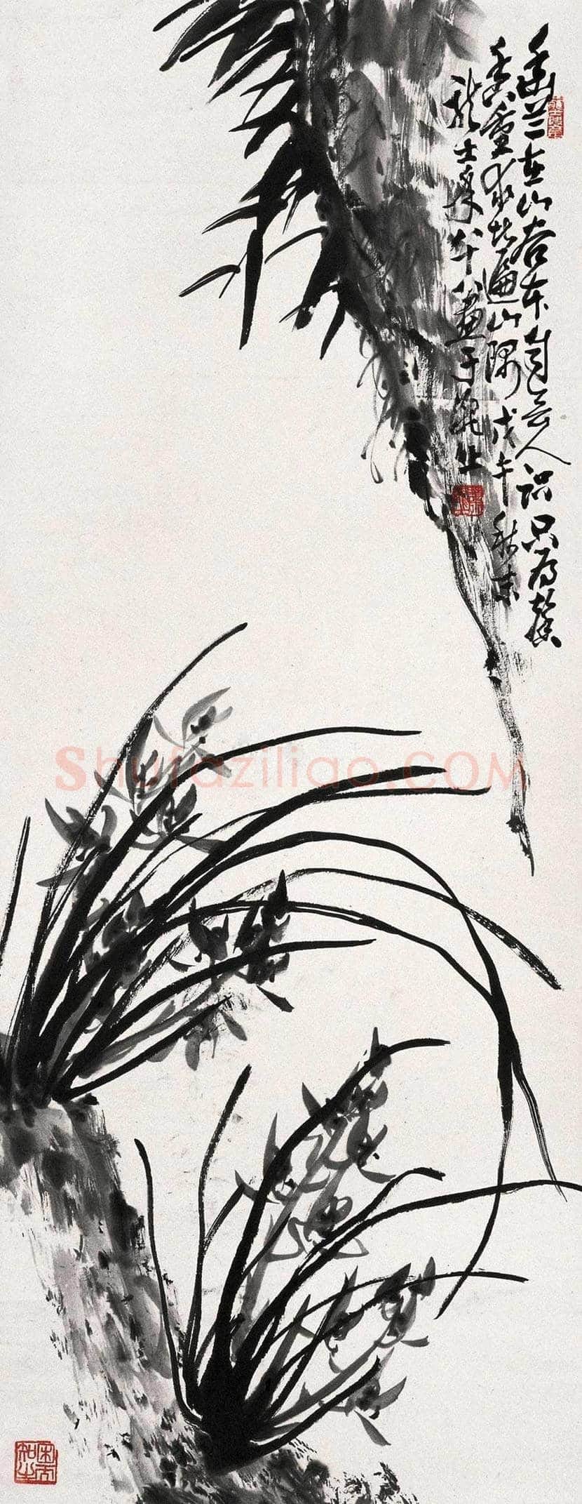 肖龙士简介及兰草作品欣赏 | 书画学堂