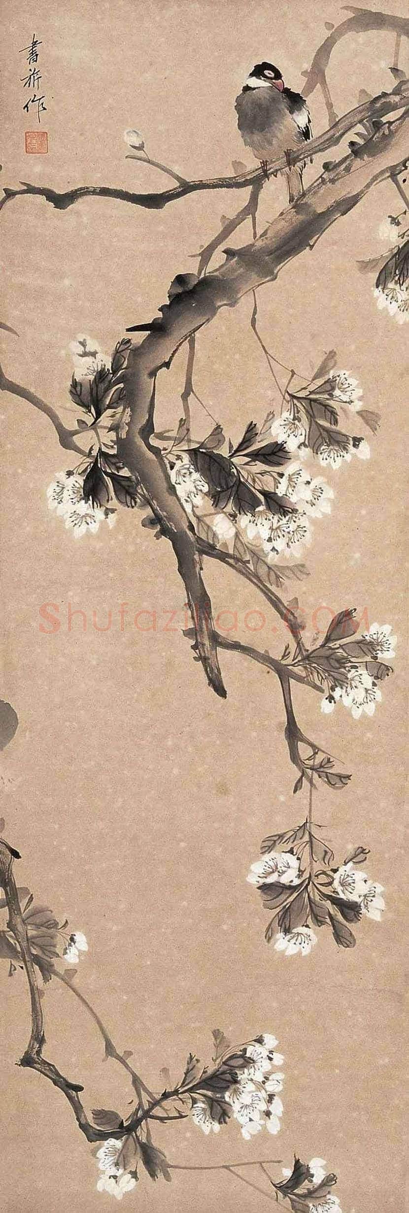 张书旂花鸟画作品欣赏 | 书画讲解