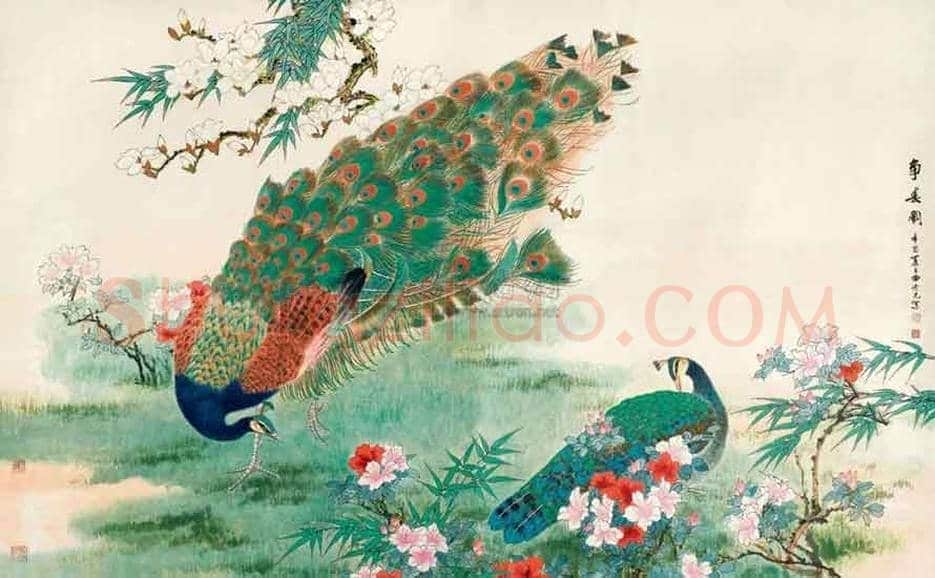 田世光笔下的孔雀，栩栩如生，仙气十足！ | 书画文摘