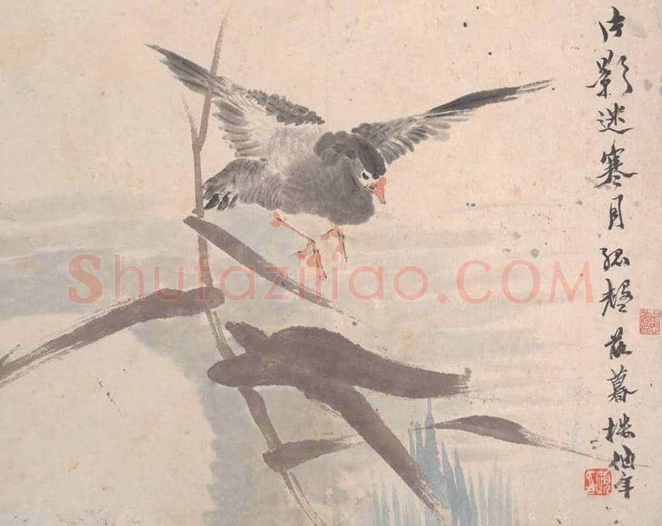 任颐花鸟蔬果册页图赏 | 著名国画鉴赏