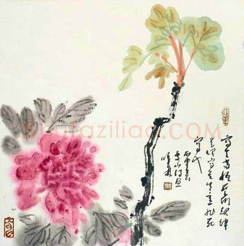 张锡武牡丹作品欣赏 | 书画资料