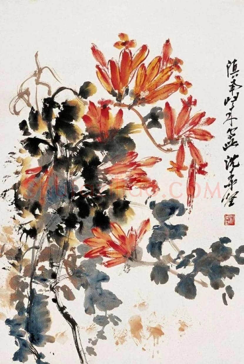 沈柔坚花鸟画作品欣赏 | 书画科普