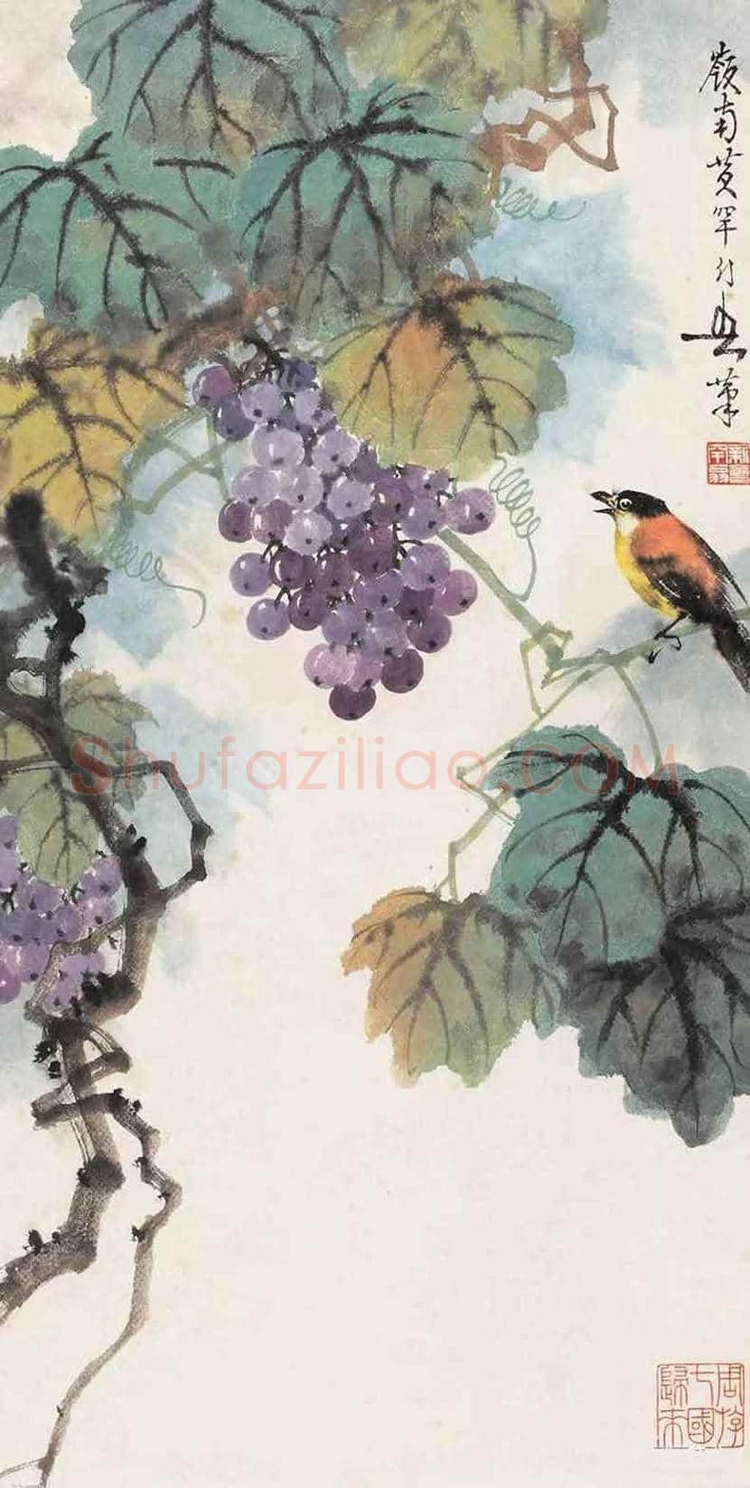 黄幻吾笔下的葡萄小鸟 | 书画常识
