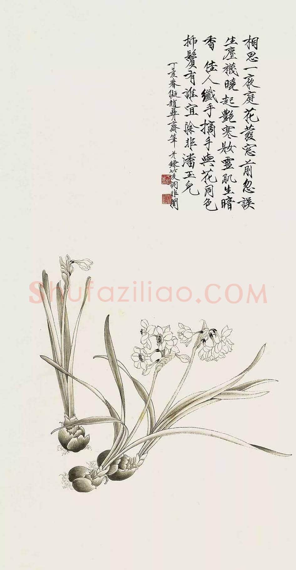 名家笔下的水仙,万种风情,尽在不言中! | 书画百科