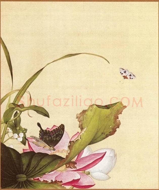 郎世宁笔下的中国花鸟 | 书画知识
