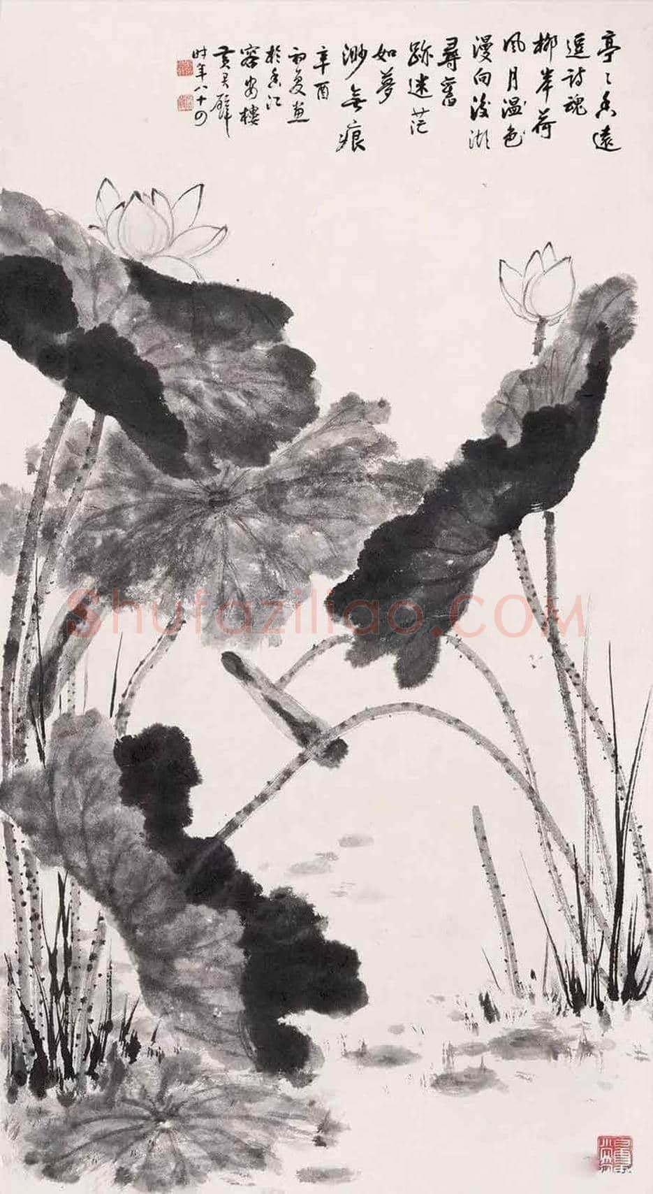 黄君璧荷花作品欣赏 | 书画知识