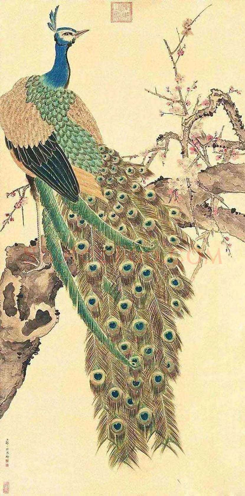 邹一桂工笔花鸟画作品欣赏 | 书画学堂