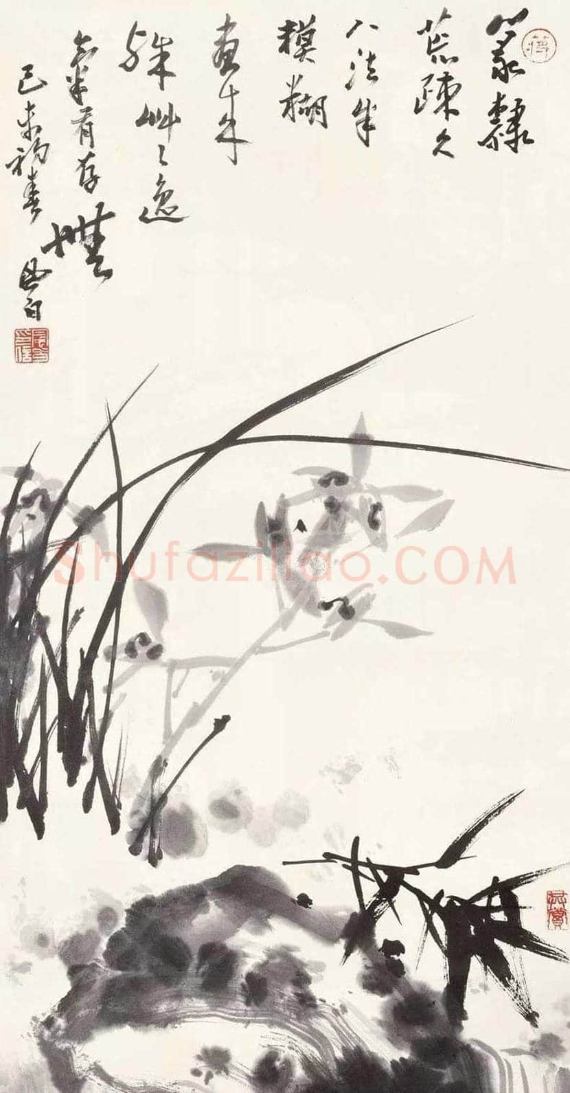 蒋风白兰竹作品欣赏 | 书画讲解