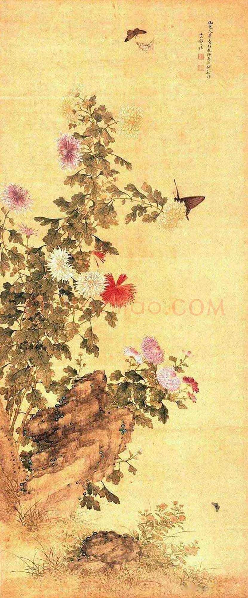 邹一桂工笔花鸟画作品欣赏 | 书画学堂