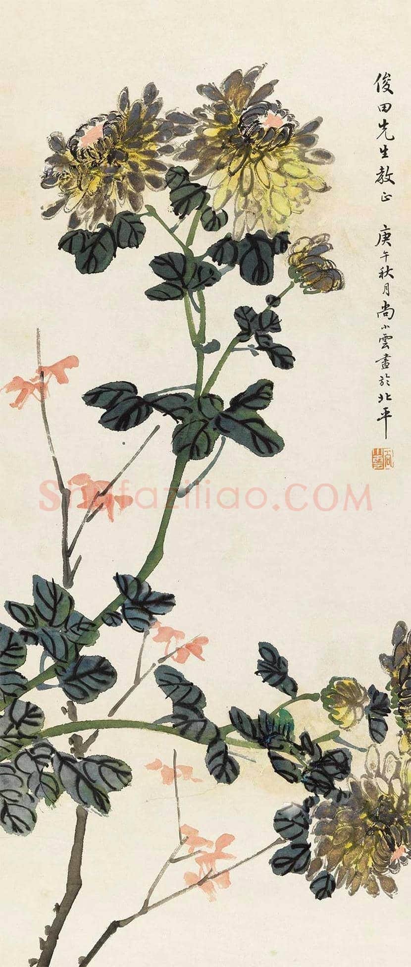 尚小云书画作品欣赏 | 书画讲解