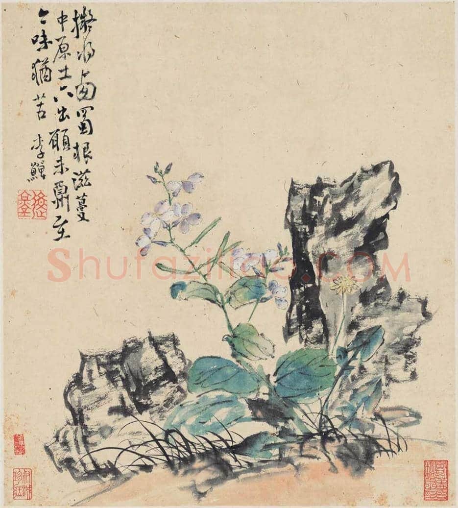 李鱓花鸟册页欣赏 | 书画讲解