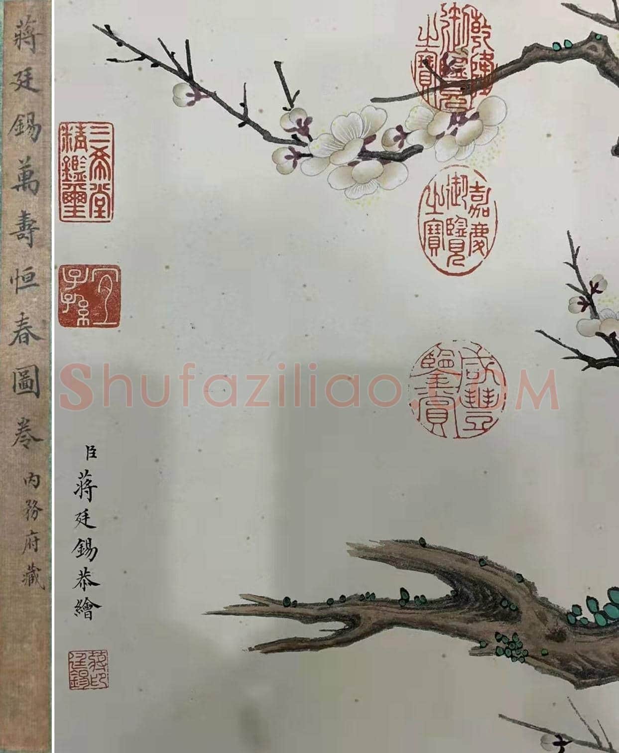 精妙绝伦 典丽雍容——蒋廷锡《万寿恒春图卷》 | 国画图片