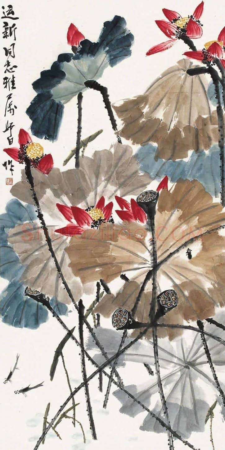 王雪涛娄师白荷花作品比较 | 书画学堂