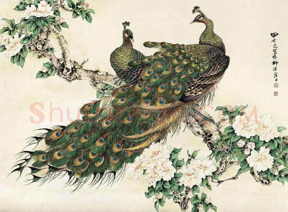田世光笔下的孔雀，栩栩如生，仙气十足！ | 书画文摘