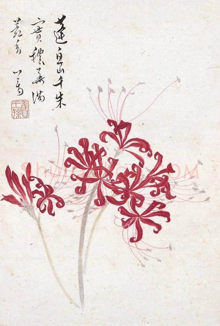 溥儒花卉作品欣赏 | 书画知识