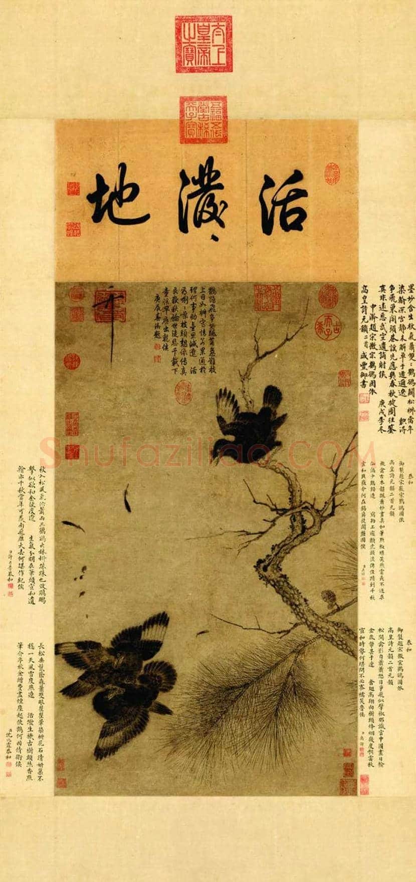 赵佶《鸲鹆图》欣赏 | 书画讲解
