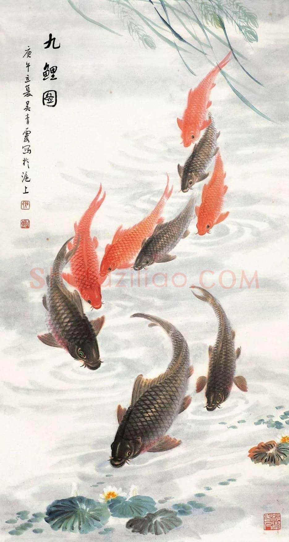 吴青霞鲤鱼作品欣赏 | 书画百科