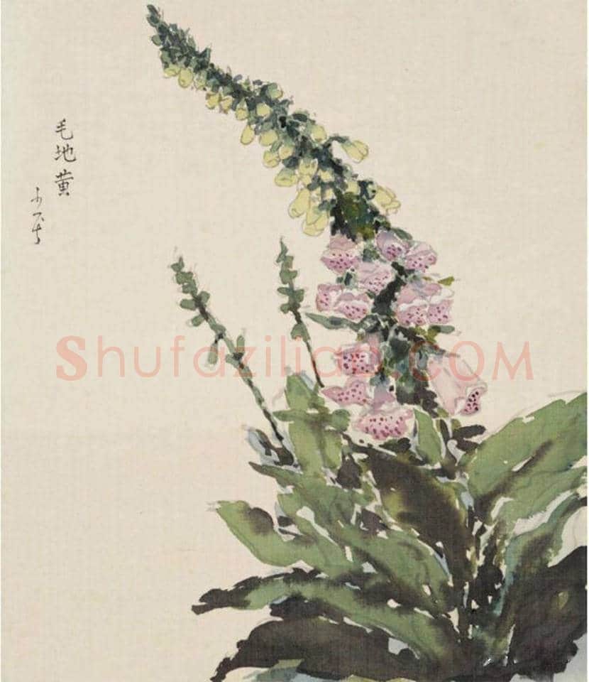 赖少其花鸟画作品欣赏 | 书画学堂