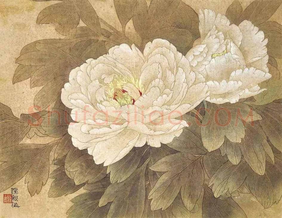 名家笔下的牡丹花【高清大图】 | 书画讲解