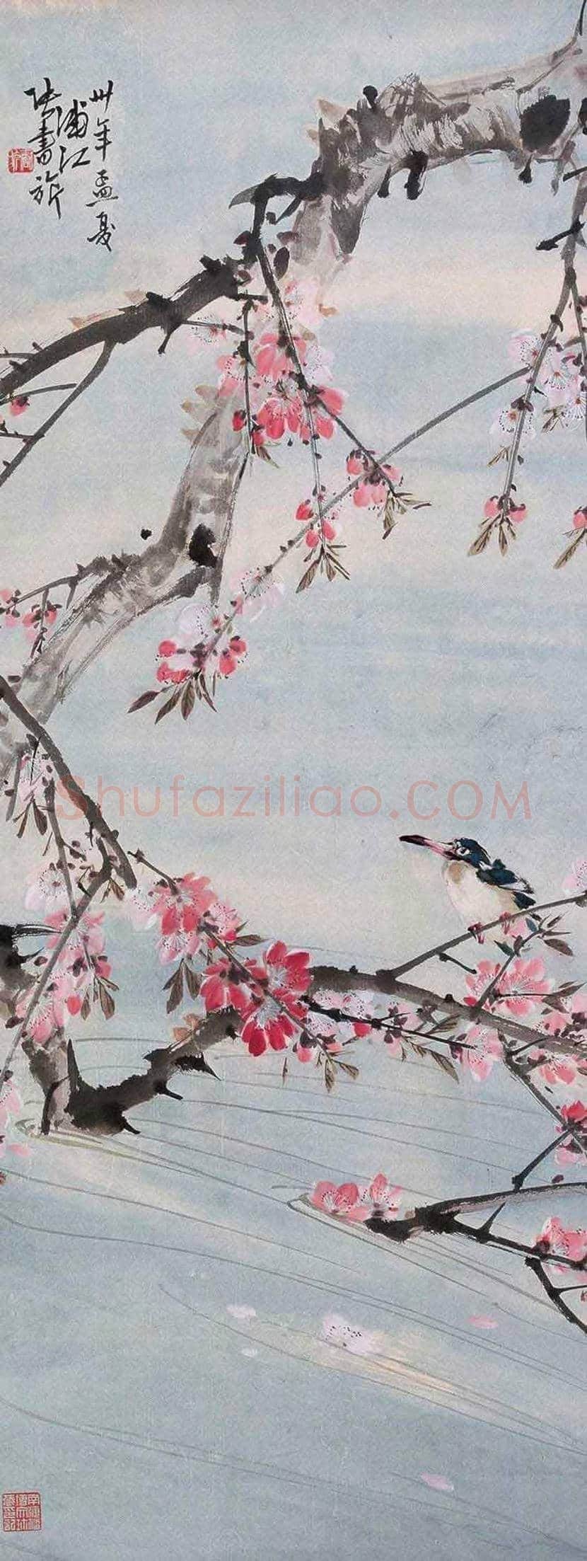 张书旂花鸟画作品欣赏 | 书画讲解