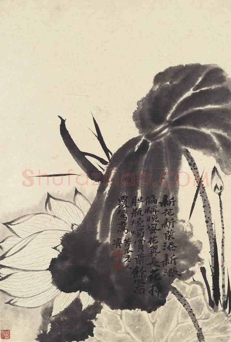 石涛《花卉册页》十帧 | 书画文摘