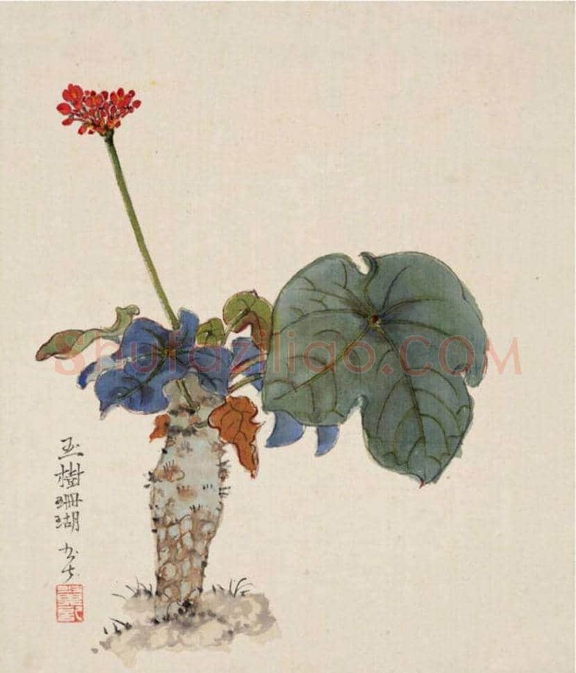 赖少其花鸟画作品欣赏 | 书画学堂