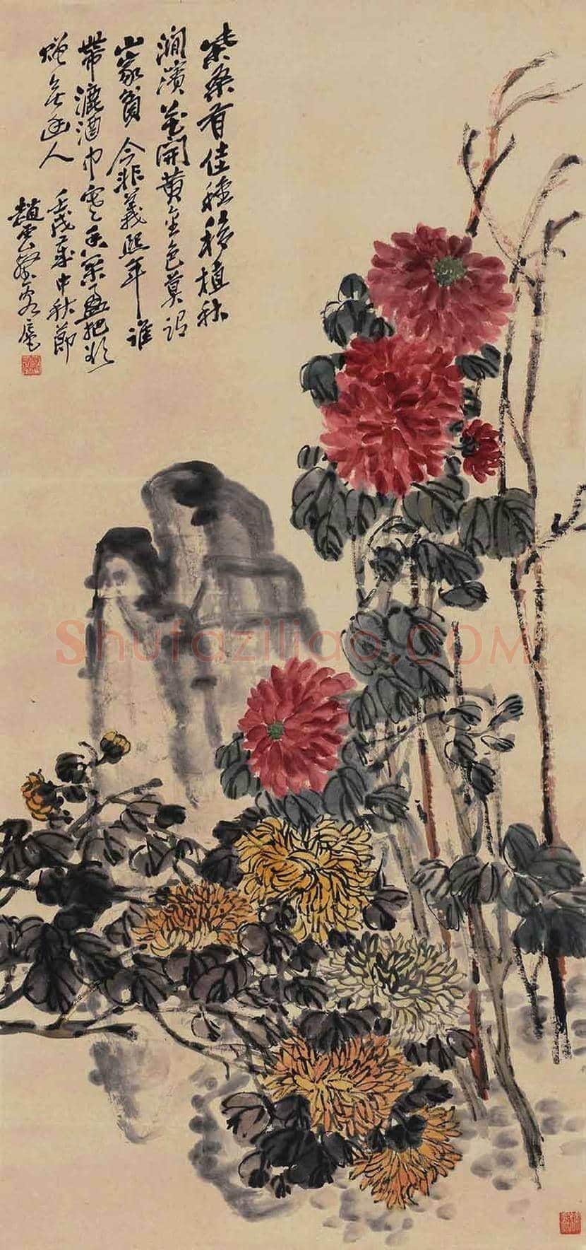赵云壑花鸟画欣赏 | 书画资料