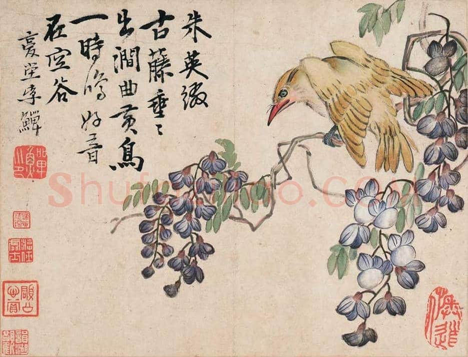 李鱓花鸟册页欣赏 | 书画讲解