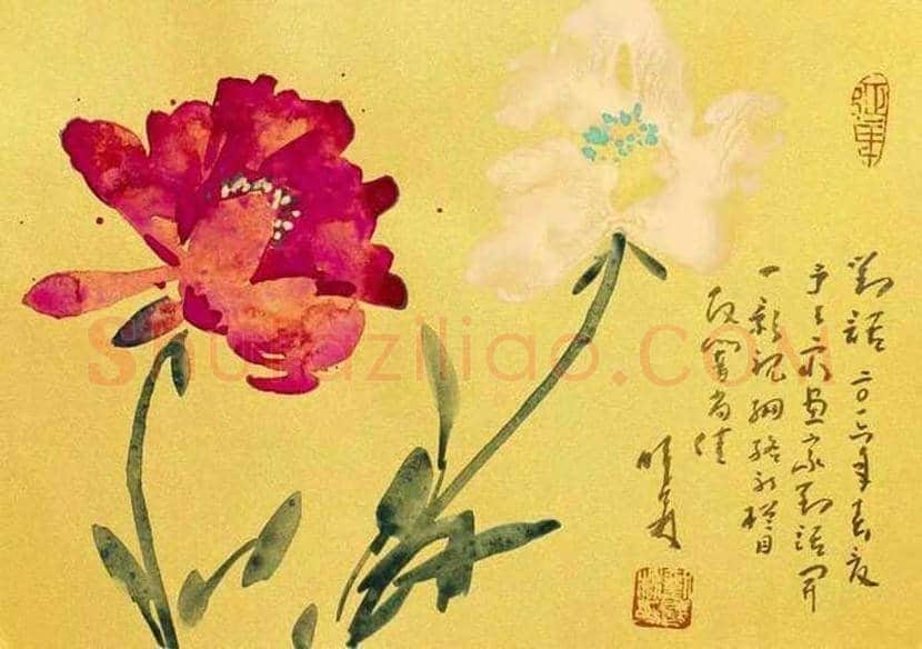张锡武牡丹作品欣赏 | 书画资料