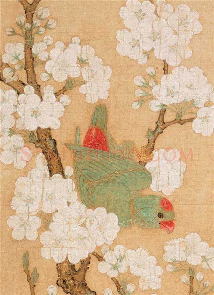宋 《梨花鹦鹉图》，清新生动！ | 书画百科