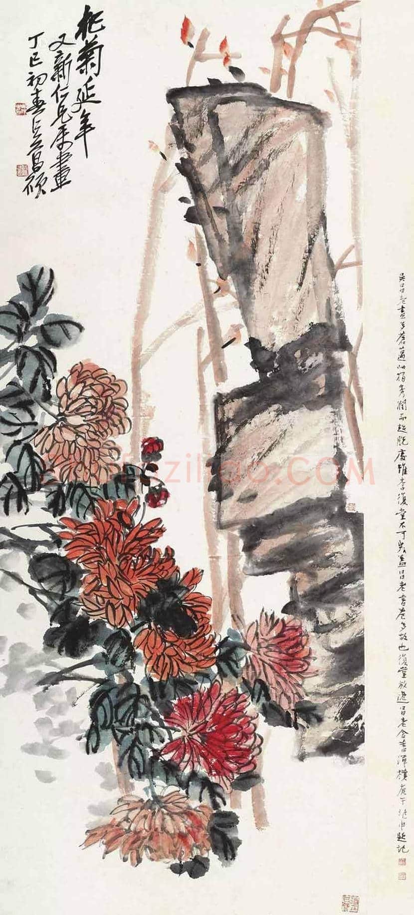 吴昌硕笔下的菊花 | 书画讲解