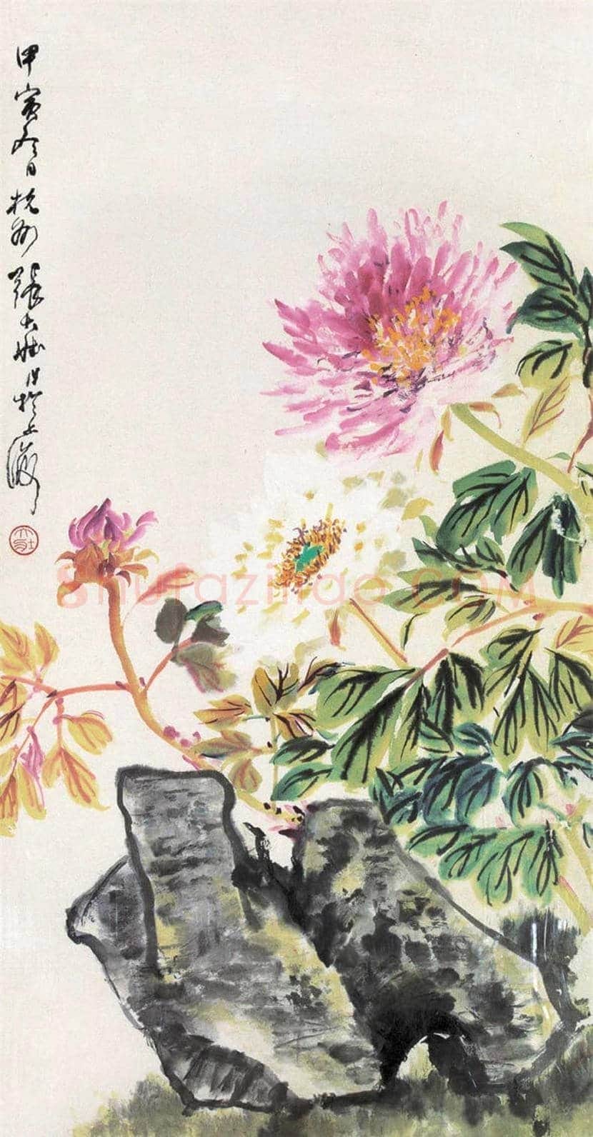 张大壮花鸟画作品欣赏 | 书画文摘