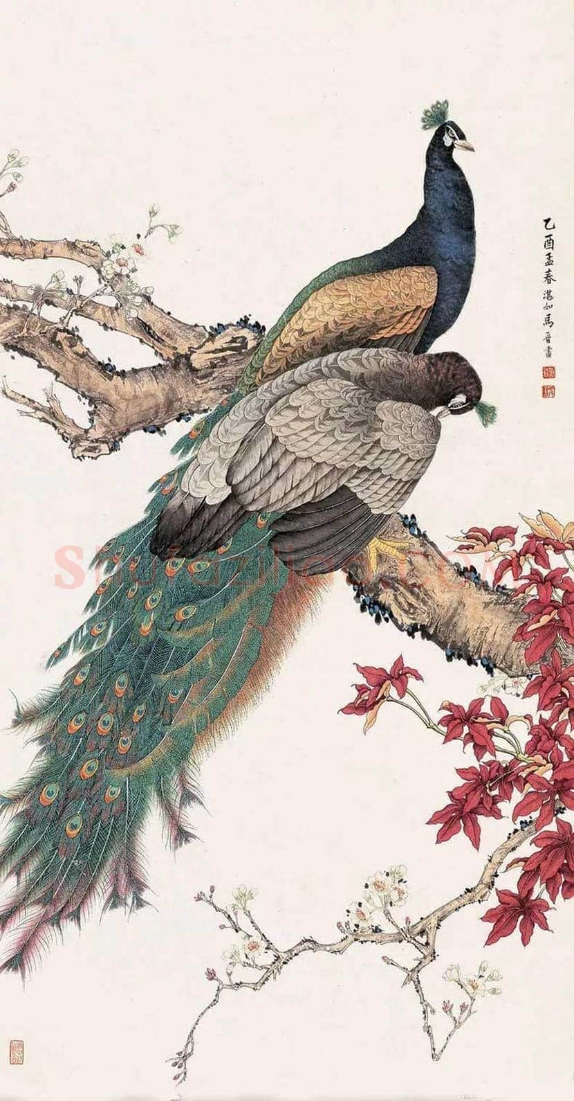 马晋作品欣赏 | 书画常识