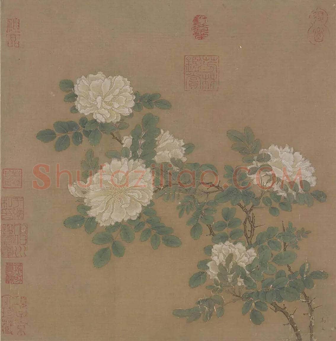 马远《白蔷薇图》欣赏 | 书画资料