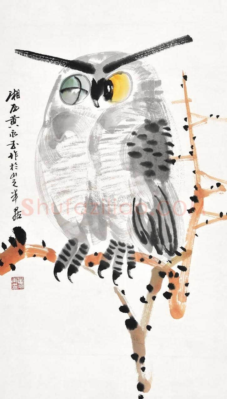 黄永玉画笔下的猫头鹰 | 书画文摘