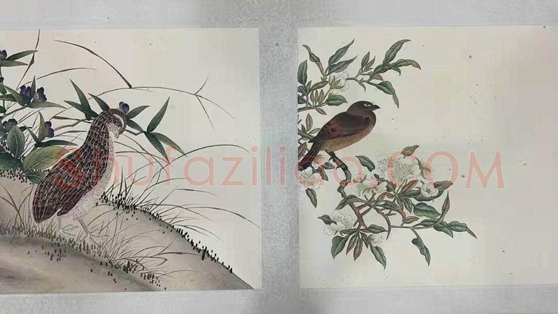 精妙绝伦 典丽雍容——蒋廷锡《万寿恒春图卷》 | 国画图片
