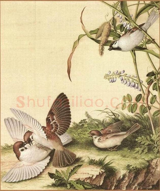 郎世宁笔下的中国花鸟 | 书画知识