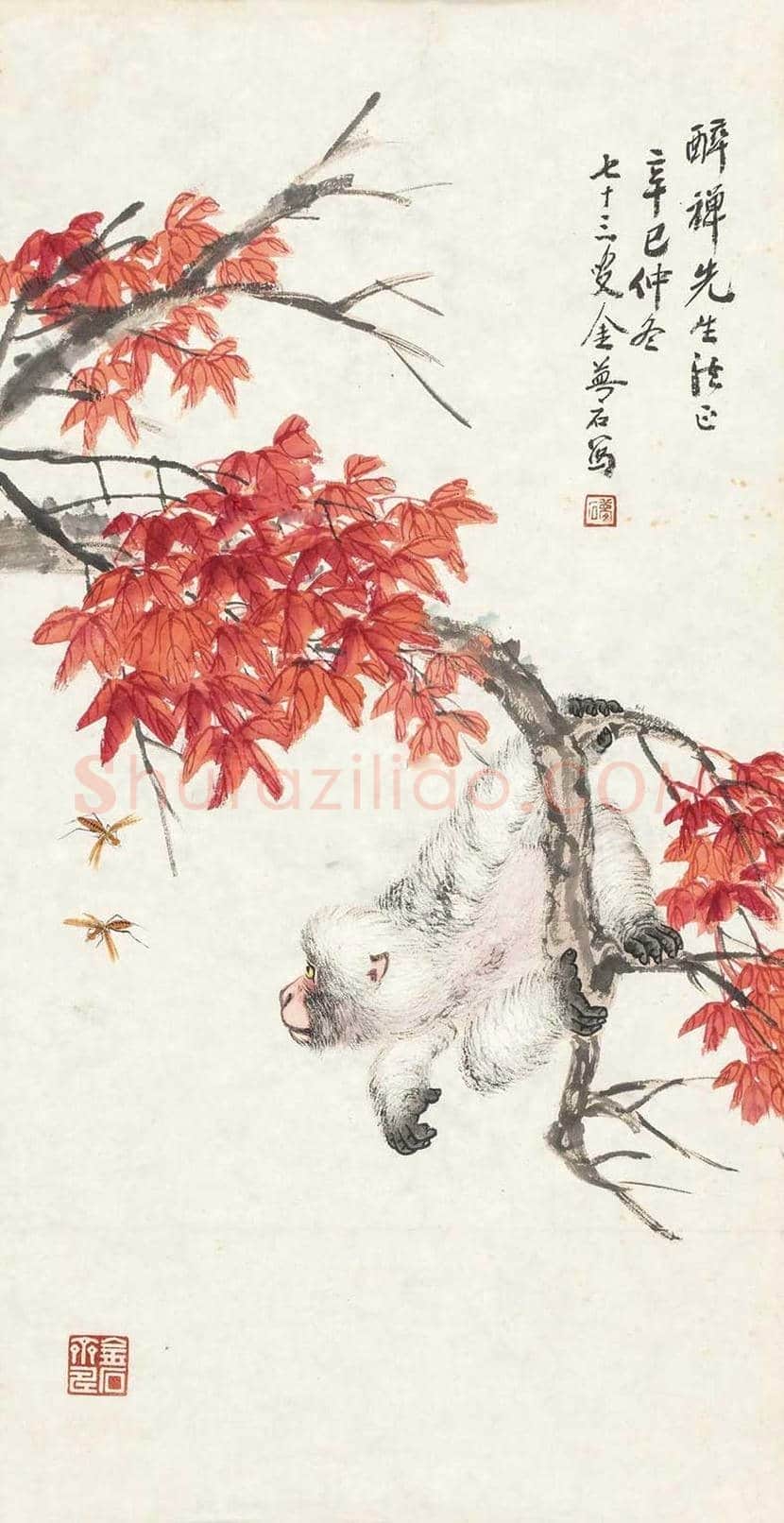 金梦石花鸟画欣赏 | 书画讲解