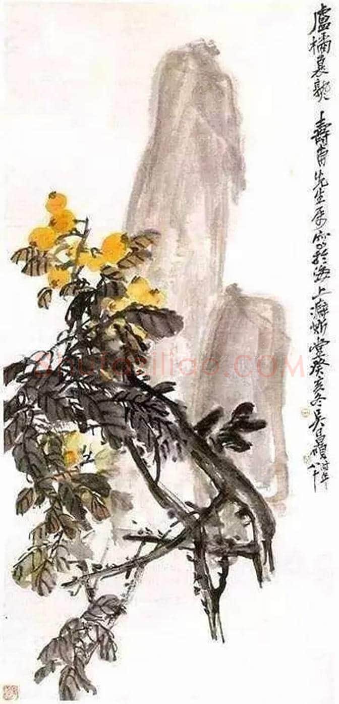 吴昌硕等三位大师画笔下的枇杷 | 书画讲解