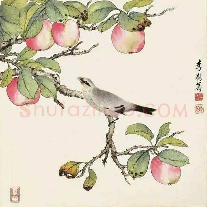 李鹤筹花鸟画作品欣赏 | 书画文摘