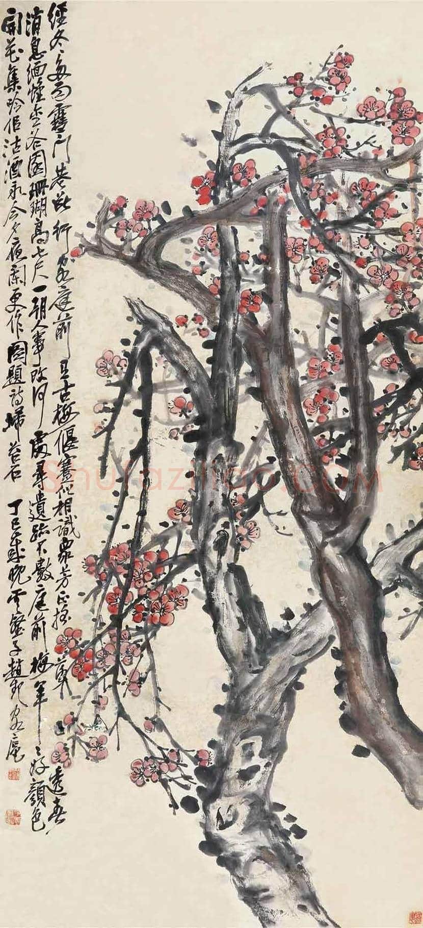 赵云壑花鸟画欣赏 | 书画资料