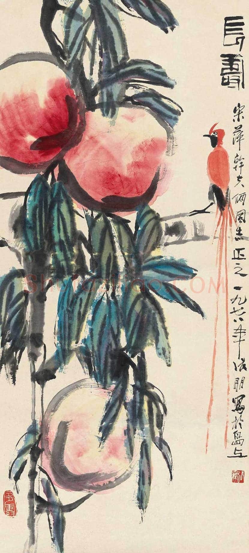 张朋花鸟画作品欣赏 | 书画文摘