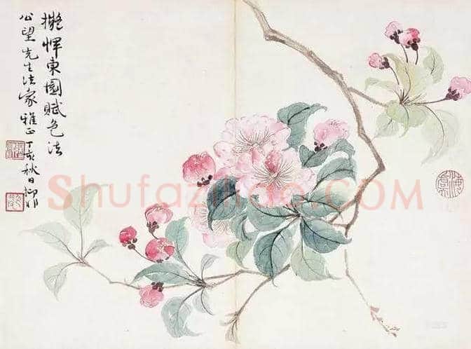 谢稚柳等名家笔下芙蓉花开 | 书画百科