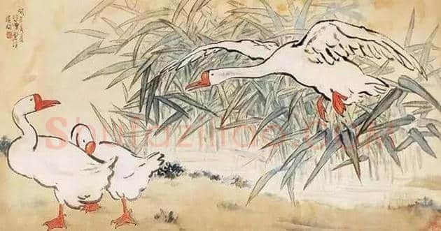 徐悲鸿笔下的46幅家畜图,形象生动 | 书画文摘