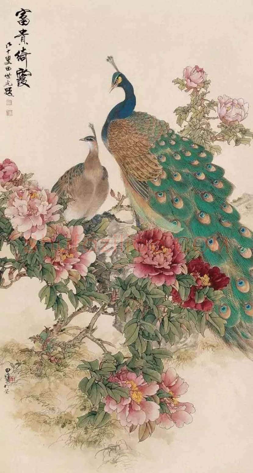 田世光花鸟画作品欣赏 | 书画科普