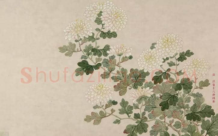 册页书画,不足盈尺最具文化 | 书画文摘