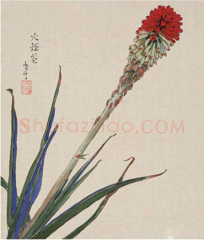 赖少其花鸟画作品欣赏 | 书画学堂