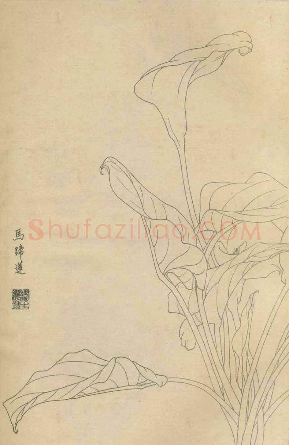 百花图谱大全【白描画】 | 书画资料