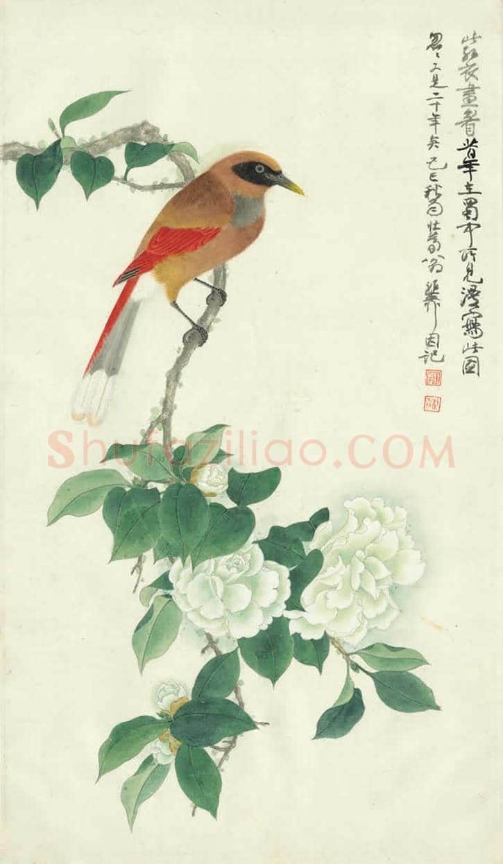 谢稚柳作品欣赏 | 书画学堂